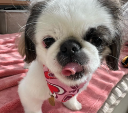 Meet Ellie