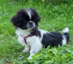 Please Meet Paddington